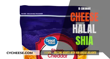 Is Cheddar Halal? Exploring the Shia Perspective