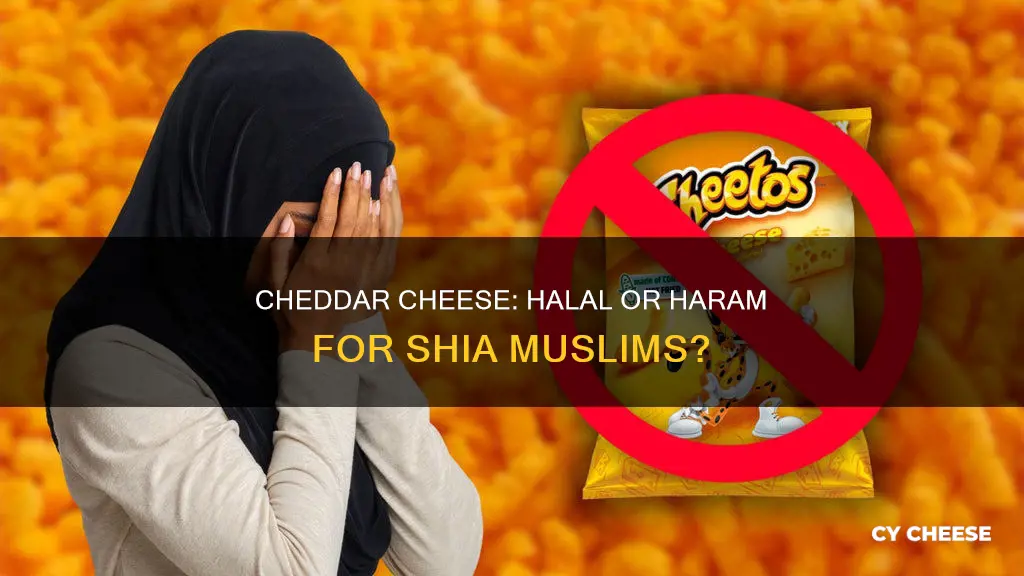 is cheddar cheese halal shia