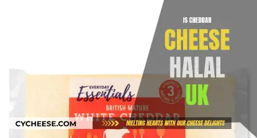 Is Cheddar Cheese Halal? UK Edition