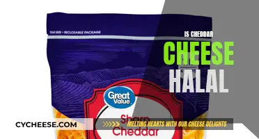 Is Cheddar Cheese Halal? Unveiling the Truth Behind the Creamy Delight