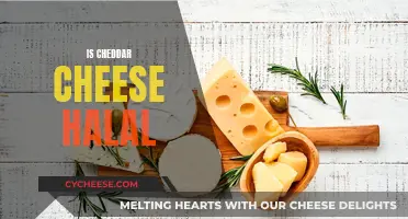 Cheddar Cheese: Halal or Haram?