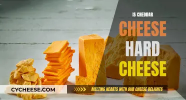 The Cheddar Conundrum: Soft or Hard, That's the Question