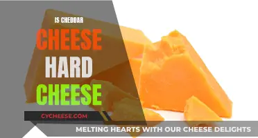 Cheddar Cheese: A Hard Cheese Conundrum
