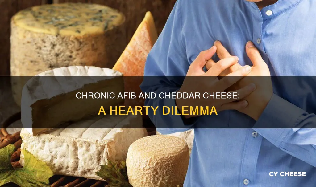 is cheddar cheese harmful for a-fib