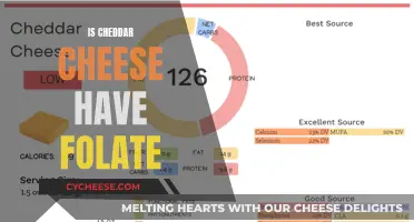 Unraveling the Mystery: Does Cheddar Cheese Pack Folate Power?