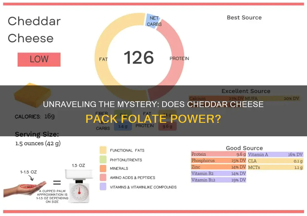 is cheddar cheese have folate