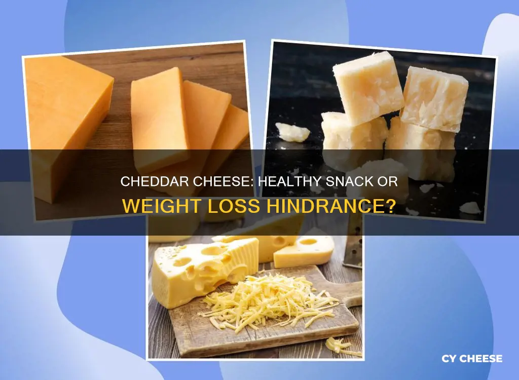 is cheddar cheese healthy for weight loss