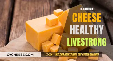 Cheddar Cheese: Healthy or Not? Unveiling the Nutritional Truth