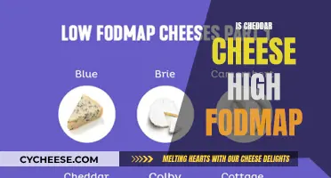 Unraveling the Cheddar Mystery: Is It a High-FODMAP Food?