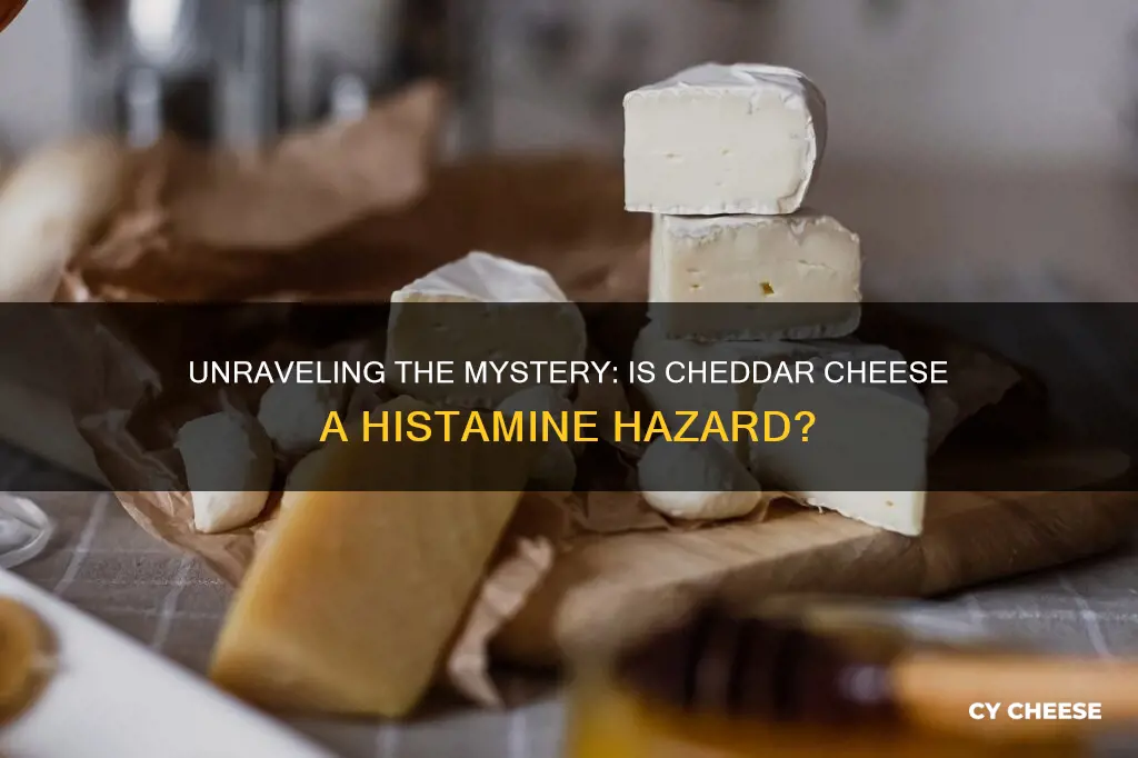 is cheddar cheese high histamine