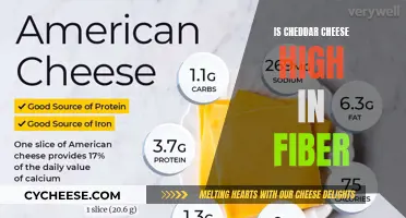 Unraveling Cheddar's Fiber Mystery: A Tasty Nutritional Journey