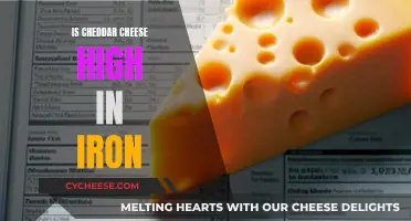 Uncovering the Irony: Cheddar Cheese and Its Iron Content