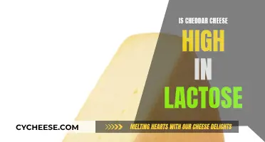 Cheddar Cheese and Lactose: What's the Deal?