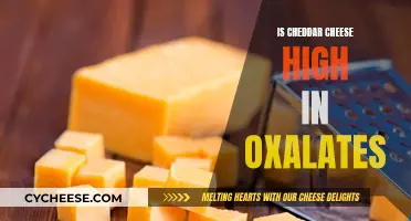 Unraveling Cheddar's Oxalate Mystery: A Tasty Adventure Awaits