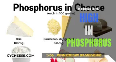 Unraveling the Mystery: Cheddar Cheese and Phosphorus