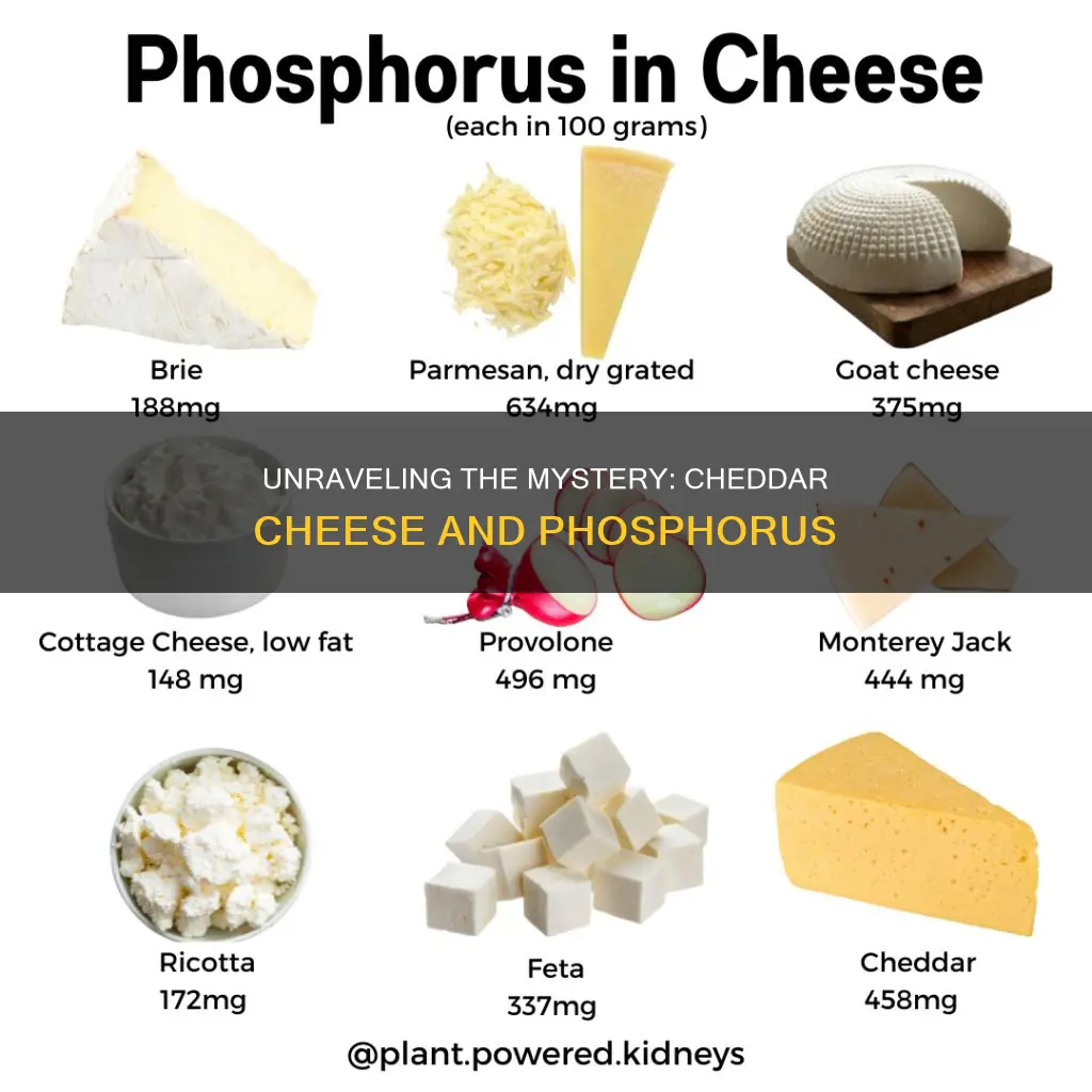 is cheddar cheese high in phosphorus