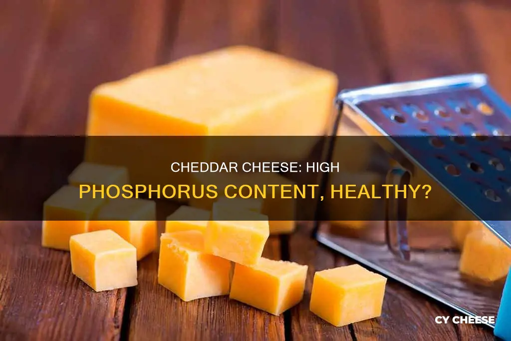 is cheddar cheese high in phosphorus