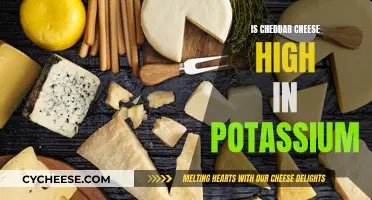 Cheddar Cheese: Potassium Content and Health Benefits