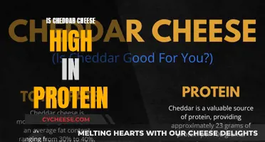 Cheddar Cheese: Unlocking the Protein Power