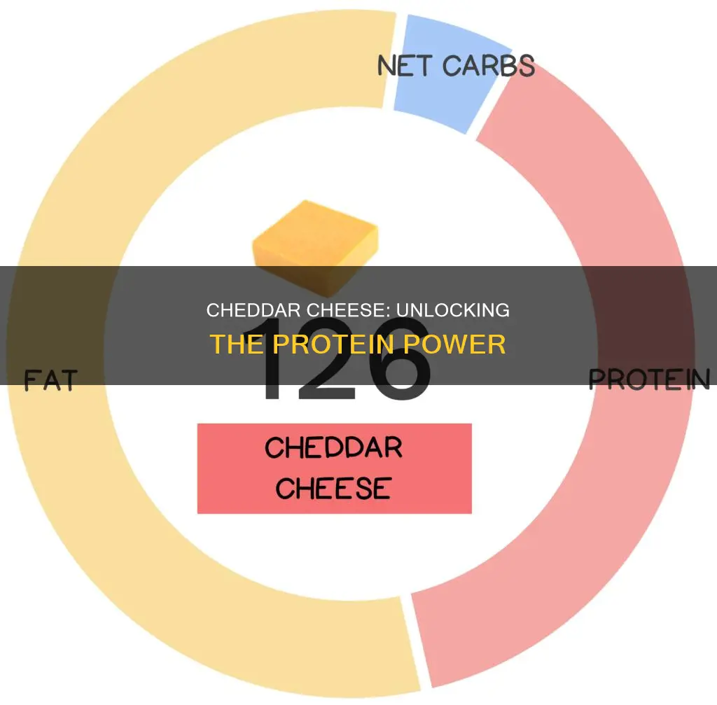 is cheddar cheese high in protein