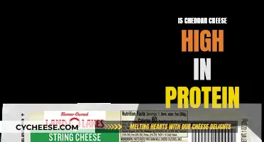 Cheddar Cheese: A Protein-Rich Superfood?