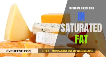 Unraveling Cheddar's Creamy Secret: Is It High in Saturated Fat?