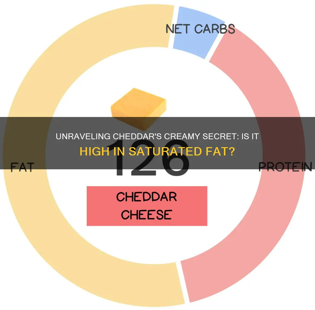 is cheddar cheese high in saturated fat