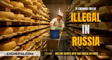 Unraveling the Mystery: Cheddar's Russian Legal Status