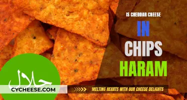 Is Cheddar Cheese in Chips Haram? Unraveling Halal Concerns