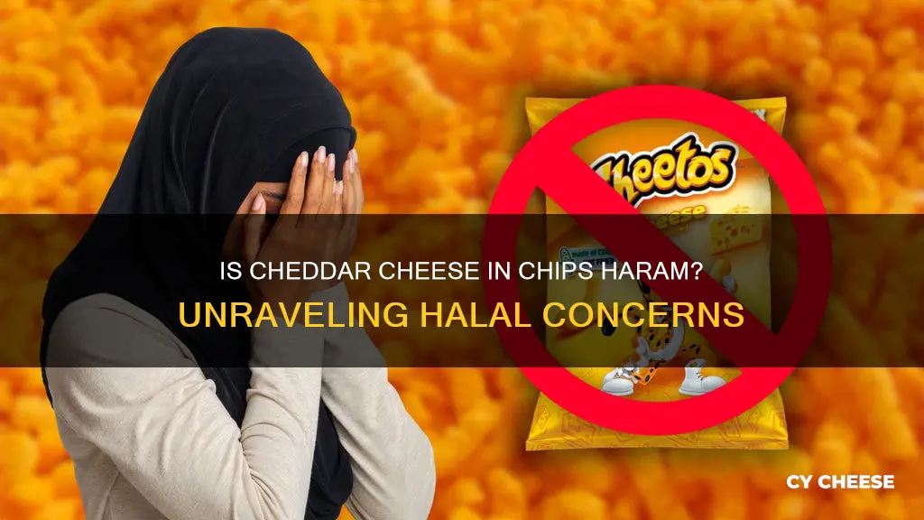 is cheddar cheese in chips haram