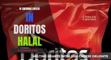 Is Cheddar Doritos Halal? Unraveling the Snack's Ingredients