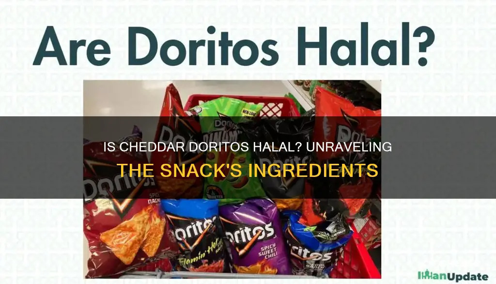 is cheddar cheese in doritos halal