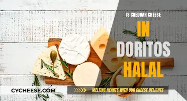 Cheddar Doritos: Halal or Not?