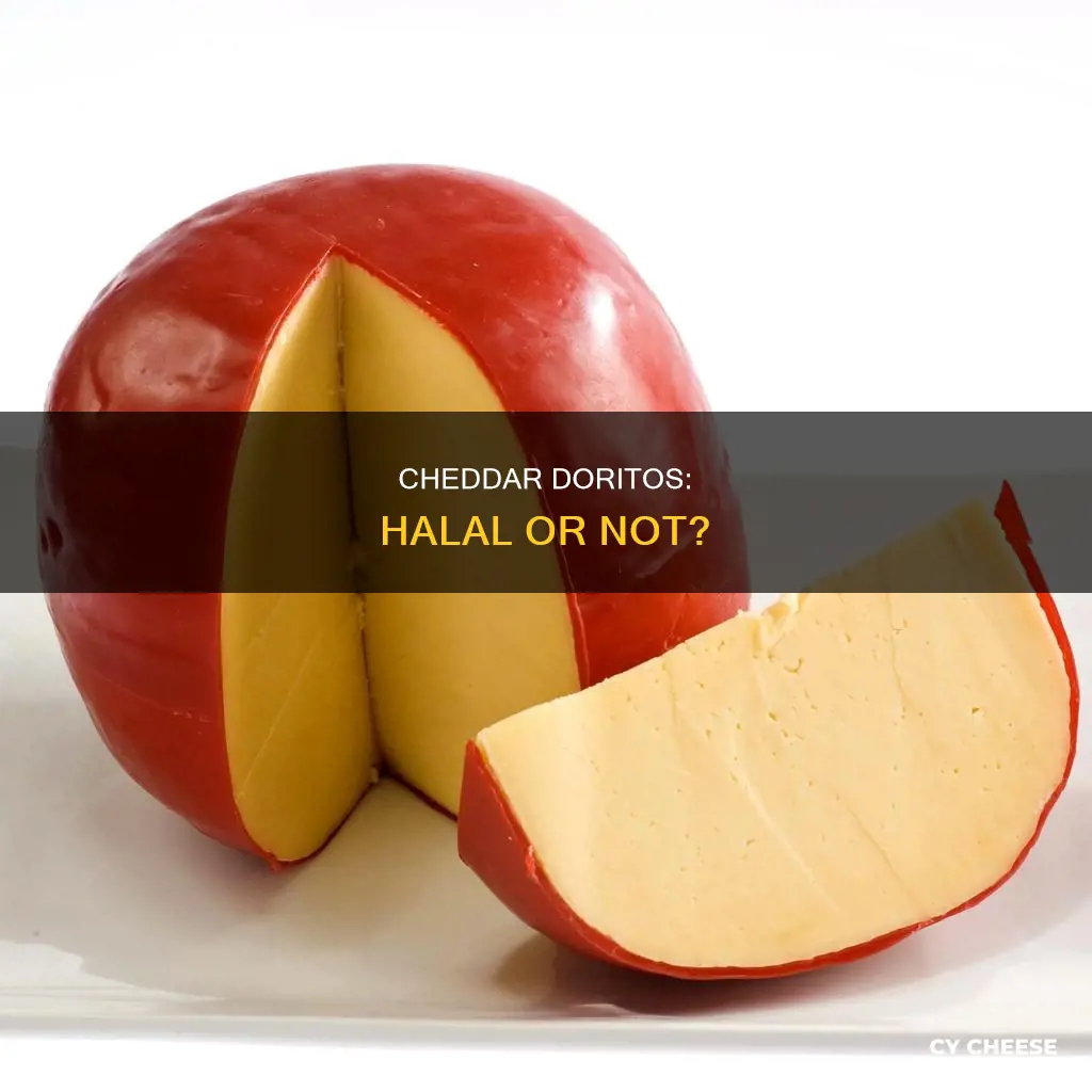is cheddar cheese in doritos halal