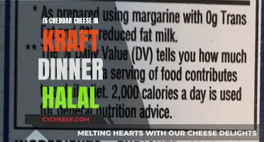 Is Kraft Dinner's Cheddar Cheese Halal? Unraveling the Mystery