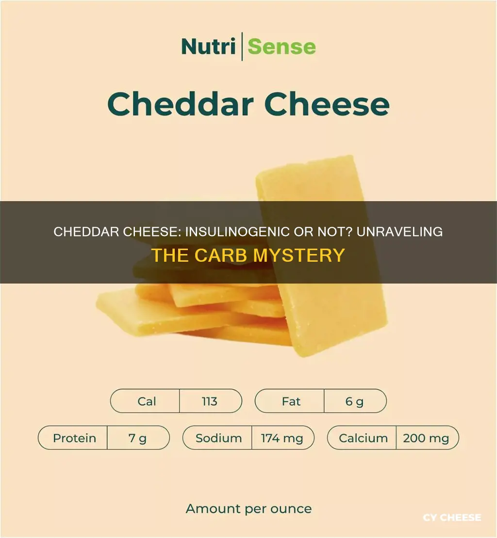 is cheddar cheese insulinogenic