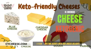 Unraveling the Cheddar Conundrum: Ketogenic Cheese or Not?