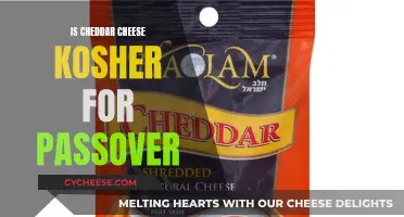 Unraveling the Cheddar Conundrum: Is It Kosher for Passover?