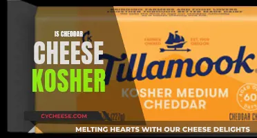 Unraveling the Cheddar Conundrum: A Kosher Cheese Journey