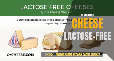 Is Cheddar Cheese Lactose-Free? Unraveling the Dairy Mystery