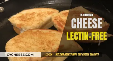 Is Cheddar Cheese Lectin-Free? Unveiling the Truth Behind the Creamy Delight