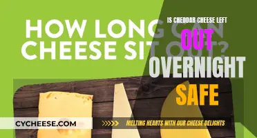 Cheese Safety: Can Cheddar Stay Out Overnight?