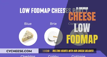 Cheddar Cheese: A Low FODMAP Guide for Sensitive Tummies