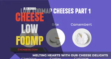 Cheddar Cheese: Unraveling the FODMAP Mystery