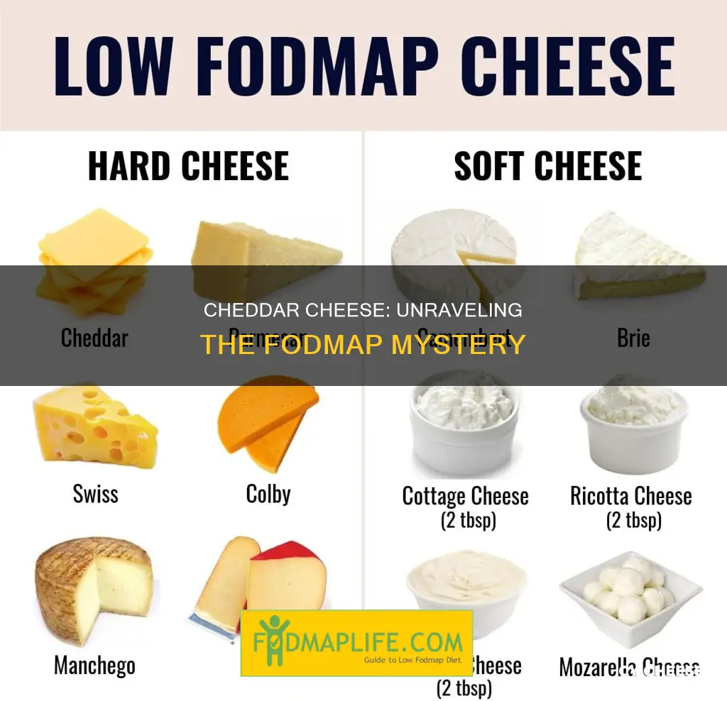 is cheddar cheese low fodmp