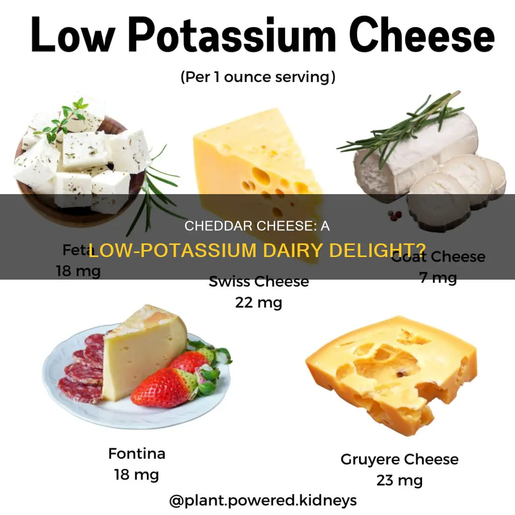 is cheddar cheese low in potassium