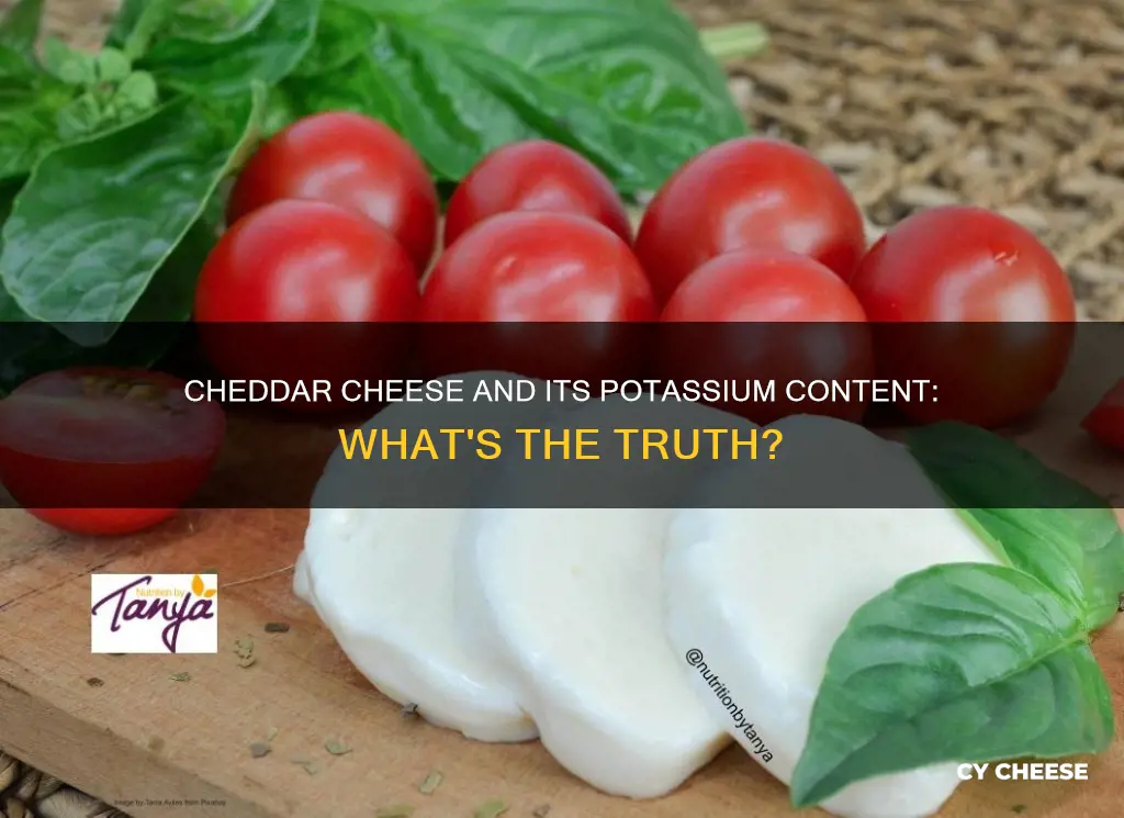 is cheddar cheese low in potassium