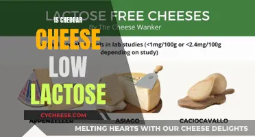 Cheddar Cheese: Unveiling the Lactose Mystery