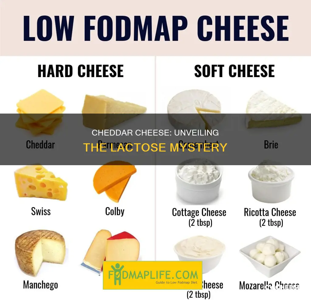 is cheddar cheese low lactose