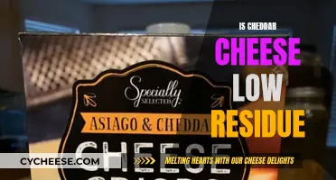 Cheddar Cheese: A Low-Residue Food Choice?